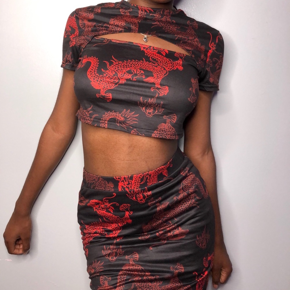 Dragon Print Two Piece Skirt Set